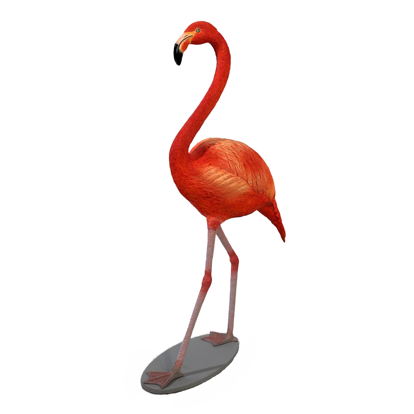 Baby Flamingo - { PICK UP ONLY}