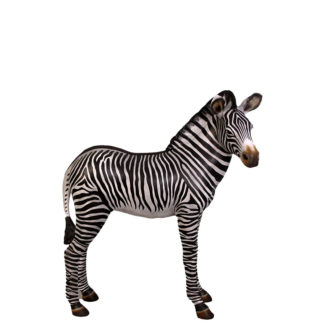 Zebra - { PICK UP ONLY}