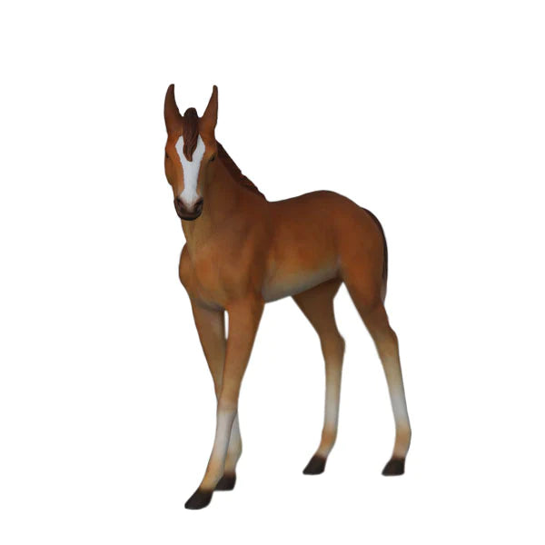 Horse ( baby) - { PICK UP ONLY}