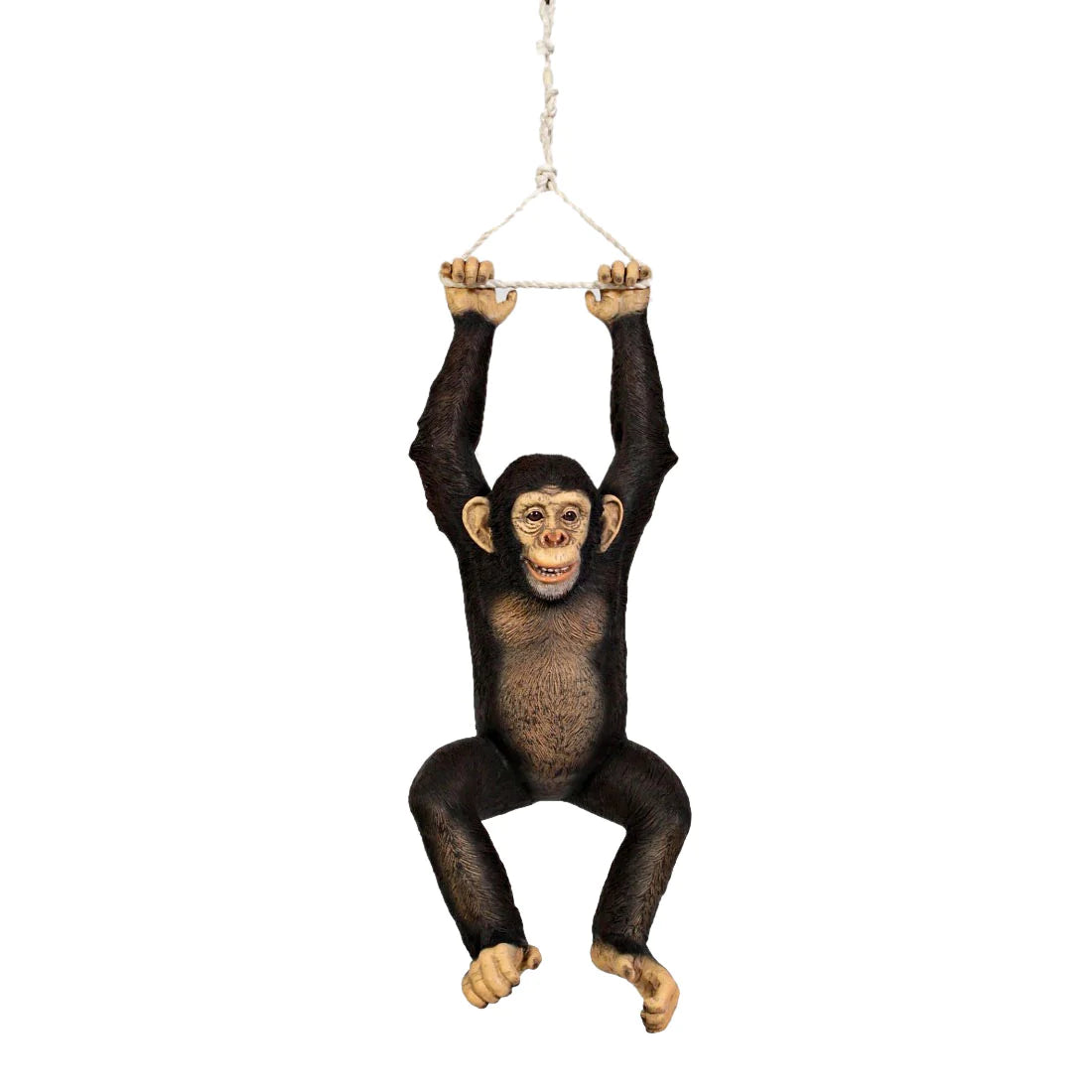 Monkey Chimpanzee - { PICK UP ONLY}