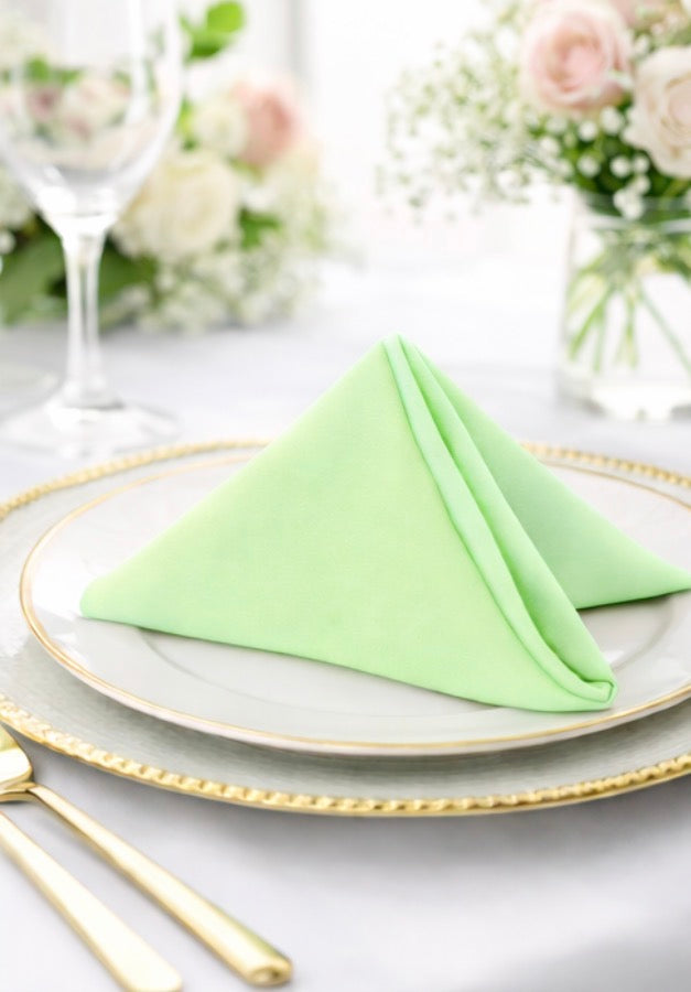 5 Napkins per pack | Mint Green Napkins