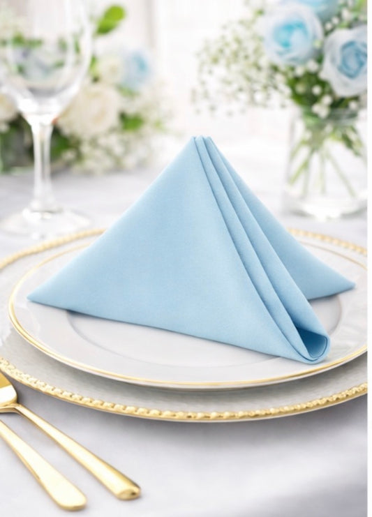 5 Napkins per pack | Baby Blue Napkins